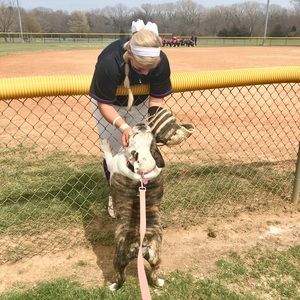 Meet your Posher, Emily